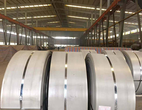 ÈÈÔþ¸Ö´ø¾í ÈÈÔþ¸Ö´ø¾í